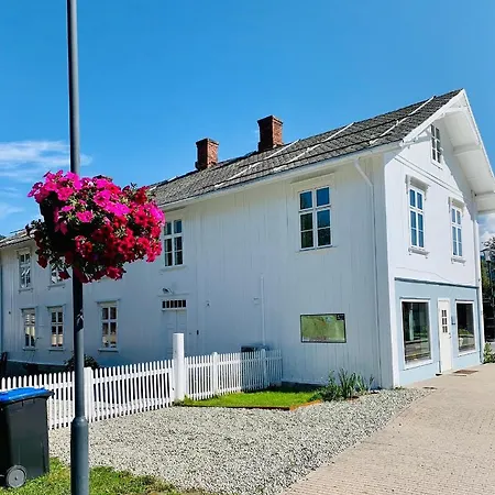Apotekbygget Nesbyen