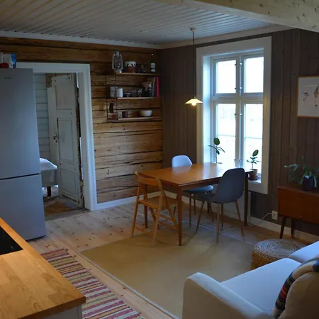 Apotekbygget 公寓 *